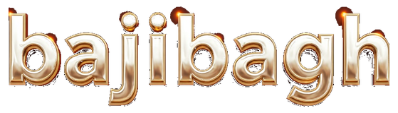 bajibagh logo